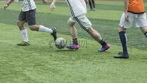 德里克·罗斯粉丝盛宴：风城玫瑰幻师茶话会