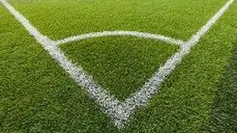 林书豪宣布退役