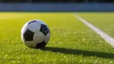 2025暑期电影档回顾：洞察趋势与揭示乱象