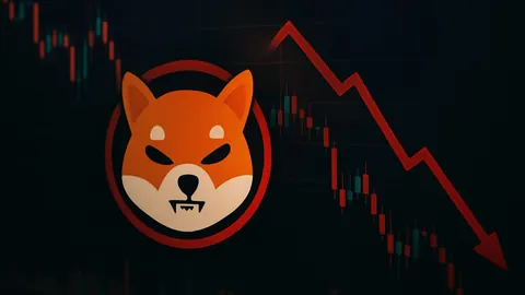 四岁周周校园行，周杰伦昆凌携手育儿新篇章