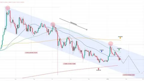具俊晔与大S喜结连理，揭秘两人相识经过及大S汪小菲离婚时间