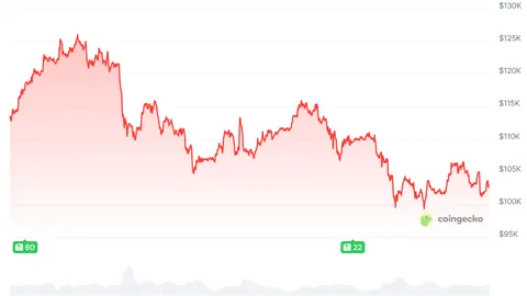 范冰冰加拿大新开留学生公寓，财富增长迅速