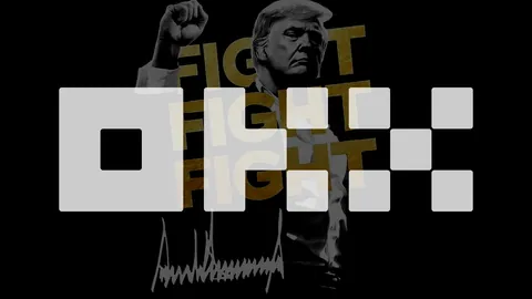 以1亿美元资本注入，零知识证明技术解锁四维区块链魅力，强势领跑狗狗币江湖！